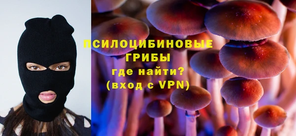 ПСИЛОЦИБИНОВЫЕ ГРИБЫ Балабаново